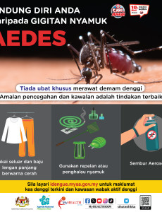 Aedes: Lindung diri anda daripada gigitan nyamuk Aedes